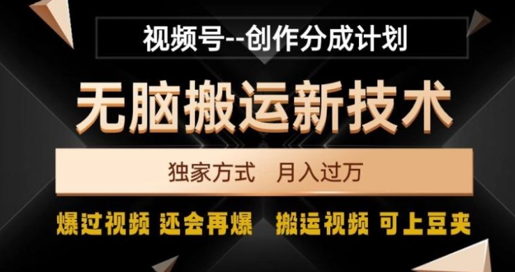 视频号无脑搬运新技术，破原创壕流量，独家方式，爆过视频，还会再爆【揭秘】-十一网创