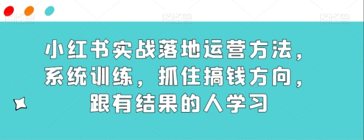 小红书实战落地运营方法，系统训练，抓住搞钱方向，跟有结果的人学习-十一网创