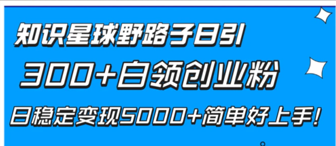 知识星球野路子日引300+白领创业粉，日稳定变现5000+简单好上手！-十一网创