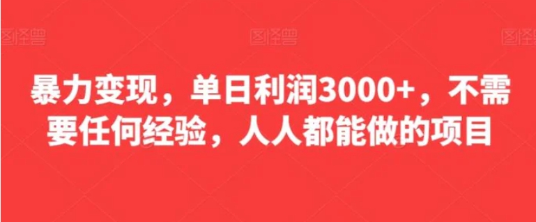 暴力变现，单日利润3000+，不需要任何经验，人人都能做的项目-十一网创