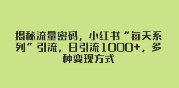 揭秘流量密码，小红书“每天系列”引流，日引流1000+，多种变现方式-十一网创