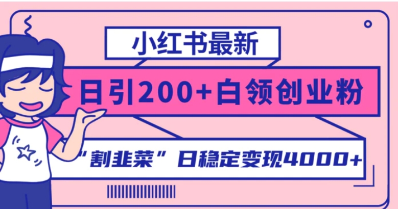 小红书最新日引200+创业粉”割韭菜“日稳定变现4000+实操教程！-十一网创