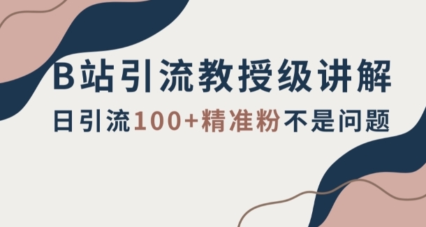 B站引流教授级讲解，细节满满，日引流100+精准粉不是问题【揭秘】-十一网创