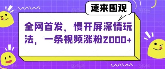 全网首发，慢开屏深情玩法，一条视频涨粉2000+【揭秘】-十一网创