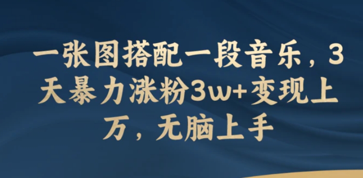 一张图搭配一段音乐，3天暴力涨粉3w+变现上万，无脑上手-十一网创