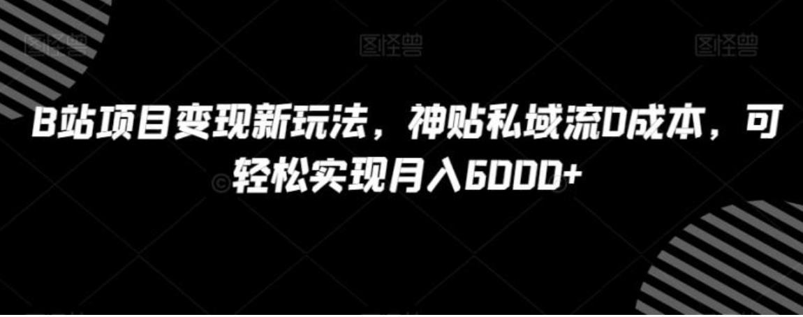 B站项目变现新玩法，神贴私域流0成本，可轻松实现月入6000+【揭秘】-十一网创