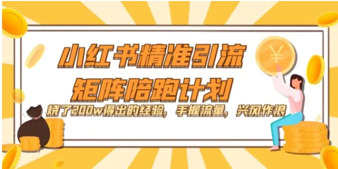 小红书精准引流·矩阵陪跑计划：烧了200w得出的经验，手握流量，兴风作浪！-十一网创