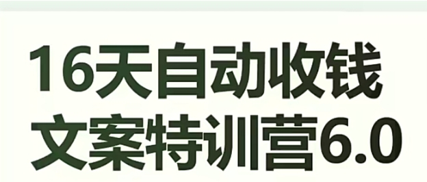 16天自动收钱文案特训营6.0，学会儿每天自动咔咔收钱-十一网创