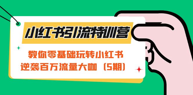 小红书引流特训营-第5期：教你零基础玩转小红书，逆袭百万流量大咖-十一网创