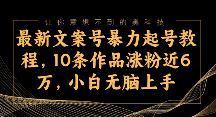 最新文案号暴力起号教程，10条作品涨粉近6万，小白无脑上手-十一网创