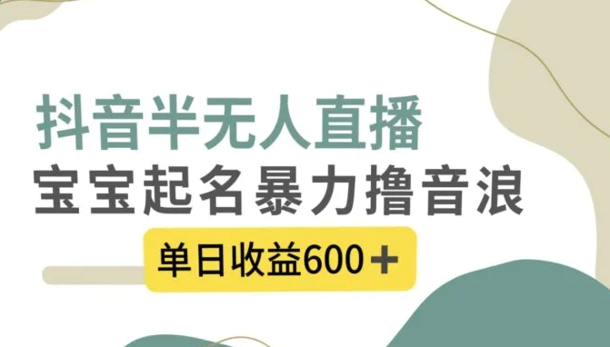 抖音半无人直播，宝宝起名，暴力撸音浪，单日收益600+-十一网创