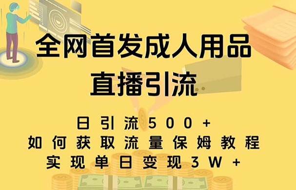 最新全网独创首发，成人用品直播引流获客暴力玩法，单日变现3w保姆级教程-十一网创