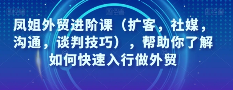 凤姐外贸进阶课，帮助你了解如何快速入行做外贸-十一网创