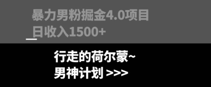 暴力男粉掘金4.0项目不违规不封号无脑复制单人操作日入1000+-十一网创