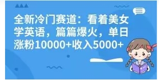 全新冷门赛道：看着美女学英语，篇篇爆火，单日涨粉10000+收入5000+-十一网创