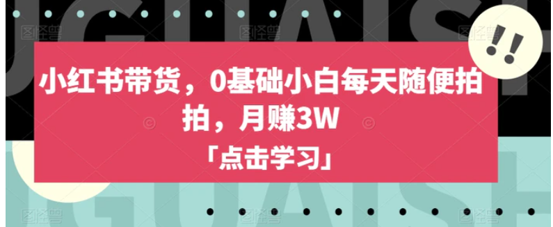 小红书带货，0基础小白每天随便拍拍，月赚3W【揭秘】-十一网创