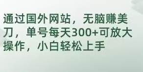 通过国外网站，无脑赚美刀，单号每天300+可放大操作，小白轻松上手【揭秘】-十一网创