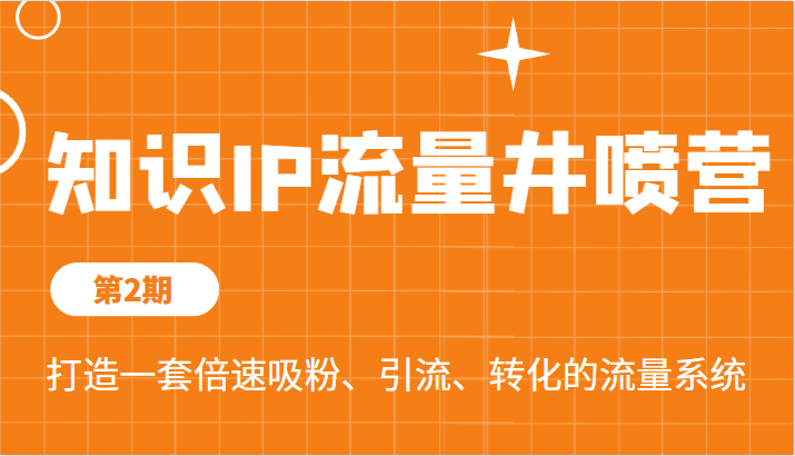 知识IP流量井喷营第2期，打造一套倍速吸粉、引流、转化的流量系统-十一网创