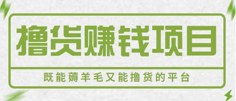 新手小白可做，既能撸货又能薅羊毛赚钱的项目，轻松日赚几十几百元【视频教程】-十一网创