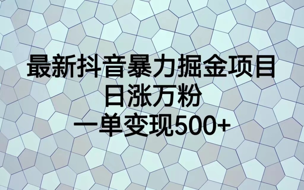 最新抖音暴力掘金项目，日涨万粉，一单变现500+-十一网创