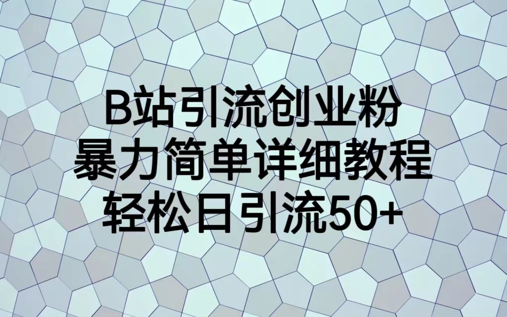 B站引流创业粉，暴力简单详细教程，轻松日引流50+-十一网创