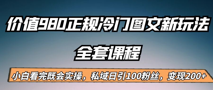 外面卖980的正规冷门图文新玩法，私域日引100粉丝，变现200+-十一网创