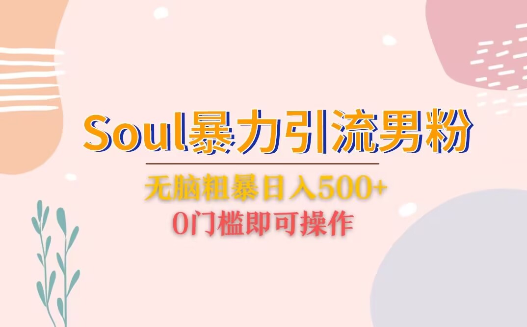 Soul暴力引流男粉玩法，无脑粗暴日入500＋，0门槛即可操作-十一网创