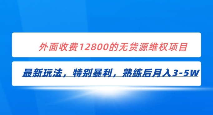 全网首发！外面收费12800的无货源维权最新暴利玩法，轻松月入3-5W-十一网创