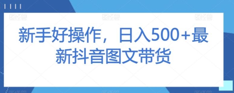 新手好操作，日入500+最新抖音图文带货【揭秘】-十一网创