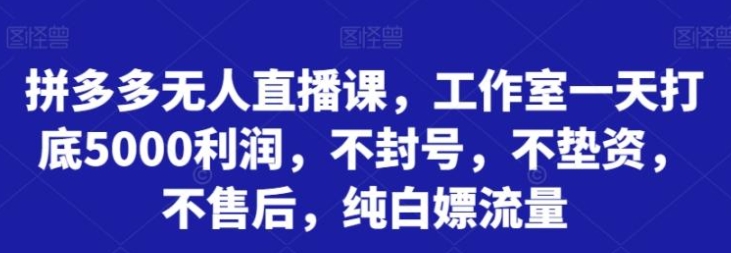 拼多多无人直播课，工作室一天打底5000利润，不封号，不垫资，不售后，纯白嫖流量-十一网创