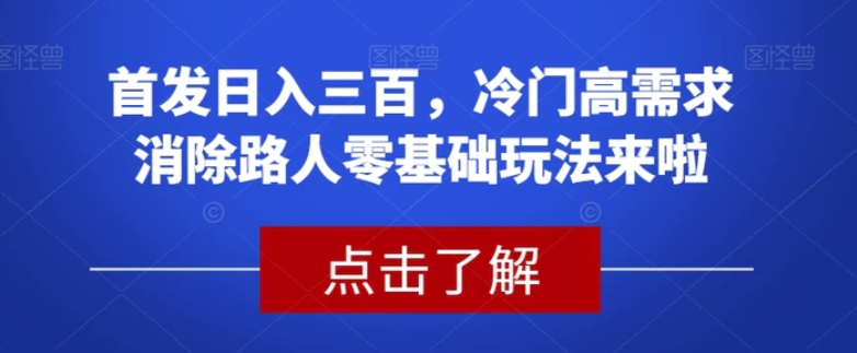 首发日入三百，冷门高需求消除路人零基础玩法来啦【揭秘】-十一网创