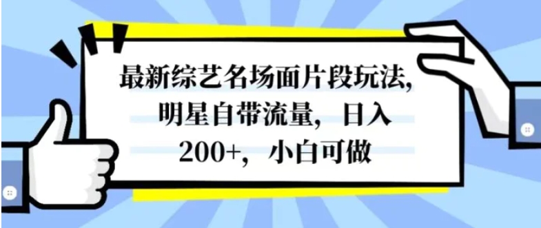 最新综艺名场面片段玩法，明星自带流量，日入200+，小白可做-十一网创