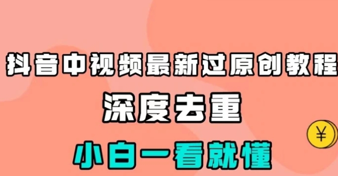 抖音中视频最新过原创教程，深度去重，小白一看就懂【揭秘】-十一网创