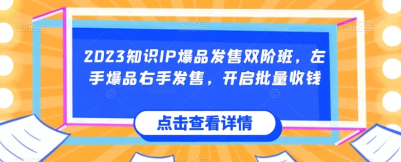 2023知识IP爆品发售双阶班，左手爆品右手发售，开启批量收钱-十一网创