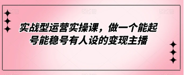 实战型运营实操课，做一个能起号能稳号有人设的变现主播-十一网创