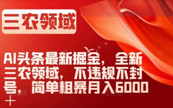 AI头条最新掘金，全新三农领域，不违规不封号，简单粗暴月入6000＋【揭秘】-十一网创