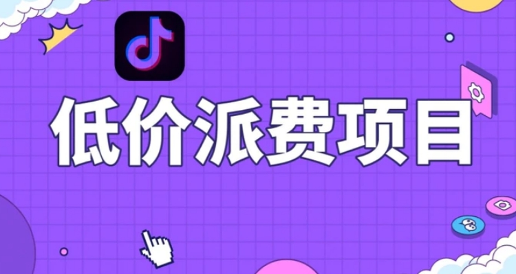 抖音低价派单项目，0门槛，日入1000+很轻松，小白可操作【揭秘】-十一网创