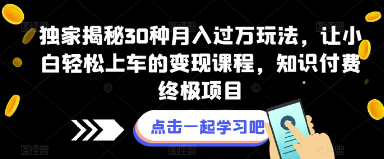 独家揭秘30种月入过万玩法，让小白轻松上车的变现课程，知识付费终极项目【揭秘】-十一网创