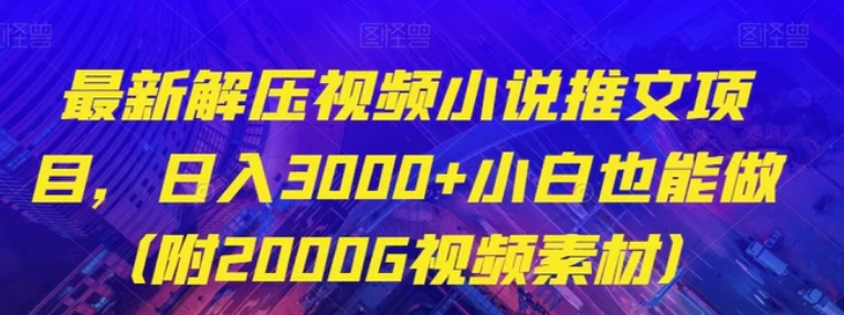 最新解压视频小说推文项目，日入3000+小白也能做【揭秘】-十一网创