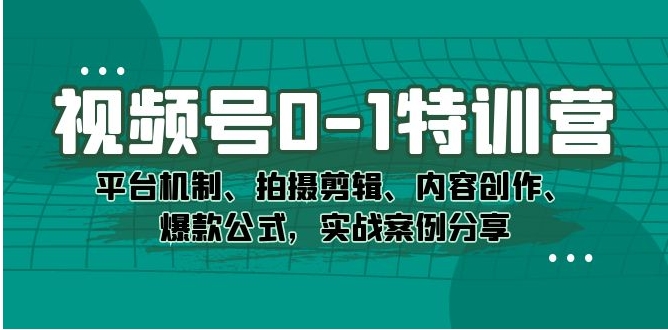 视频号0-1特训营：平台机制、拍摄剪辑、内容创作、爆款公式，实战案例分享-十一网创