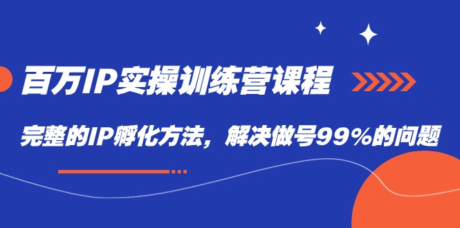 百万IP实战训练营课程，完整的IP孵化方法，解决做号99%的问题-十一网创