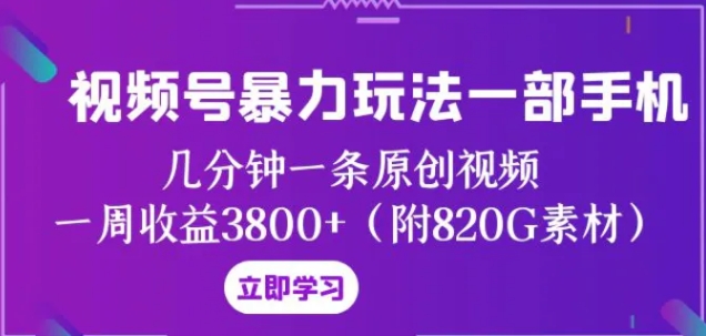 视频号暴力玩法一部手机 几分钟一条原创视频 一周收益3800+-十一网创