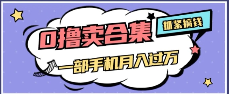 0撸项目月入过万，售卖全套ai工具合集，一单29.9元，一部手机即可【揭秘】-十一网创