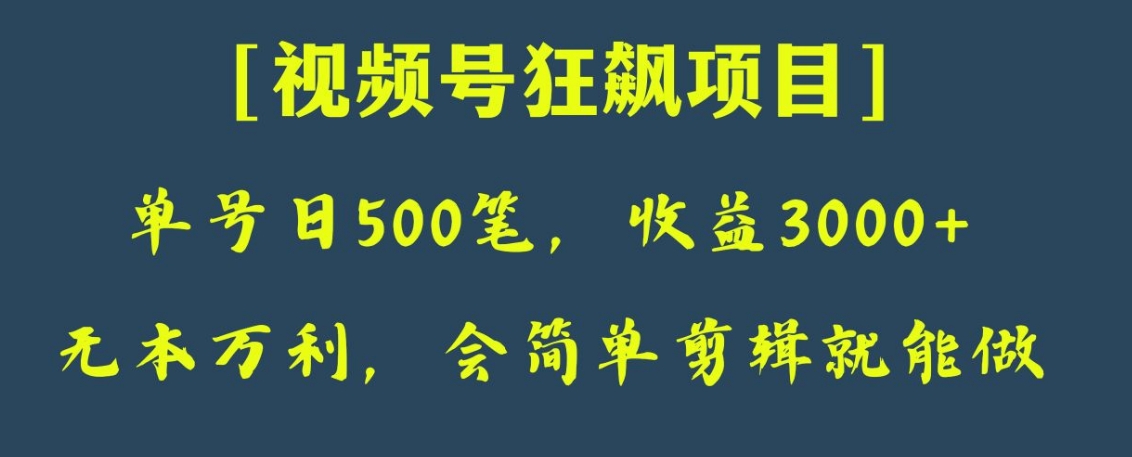 日收款500笔，纯利润3000+，视频号狂飙项目！-十一网创