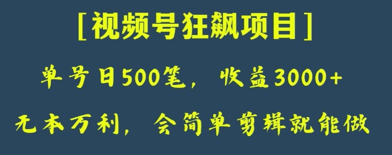 日收款500笔，纯利润3000+，视频号狂飙项目，会简单剪辑就能做【揭秘】-十一网创