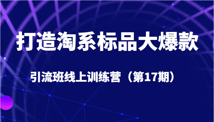 打造淘系标品大爆款引流班线上训练营5天直播授课+1个月答疑-十一网创