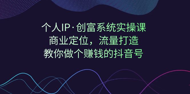 个人IP·创富系统实操课：商业定位，流量打造，教你做个赚钱的抖音号-十一网创