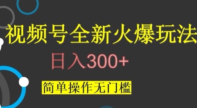 视频号最新爆火玩法，日入300+，简单操作无门槛【揭秘】-十一网创