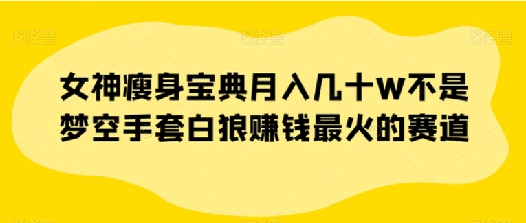 女神瘦身宝典月入几十W不是梦空手套白狼赚钱最火的赛道【揭秘】-十一网创