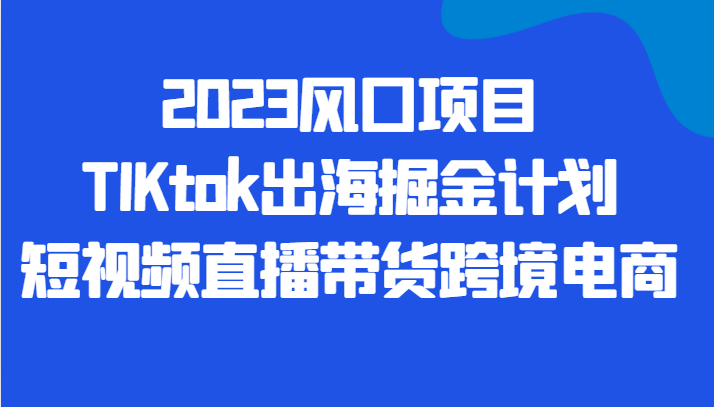 2023风口项目TIKtok出海掘金计划短视频直播带货跨境电商-十一网创